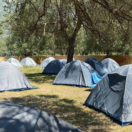 فندق Borsh Olive Camping المظهر الخارجي الصورة