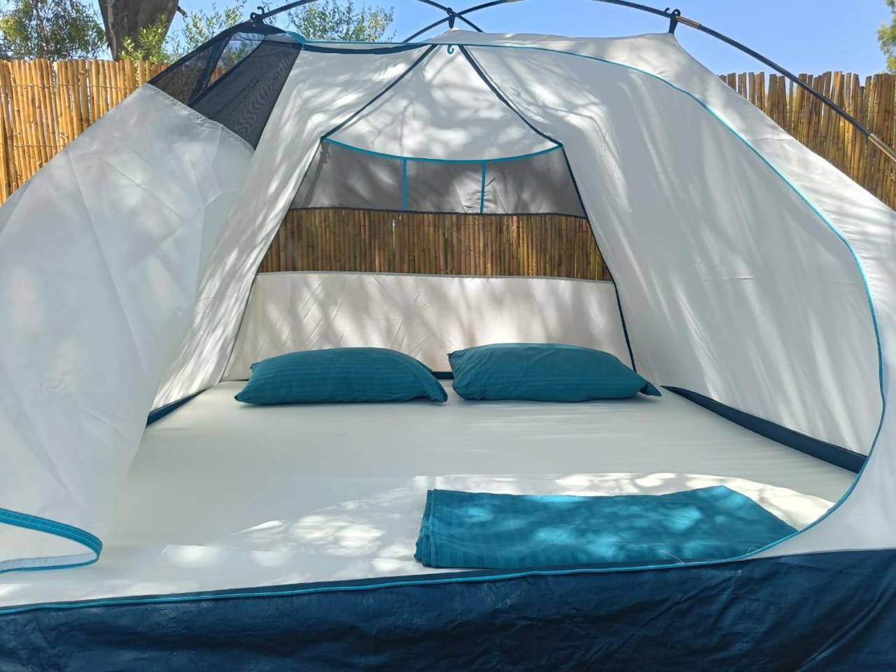 فندق Borsh Olive Camping المظهر الخارجي الصورة