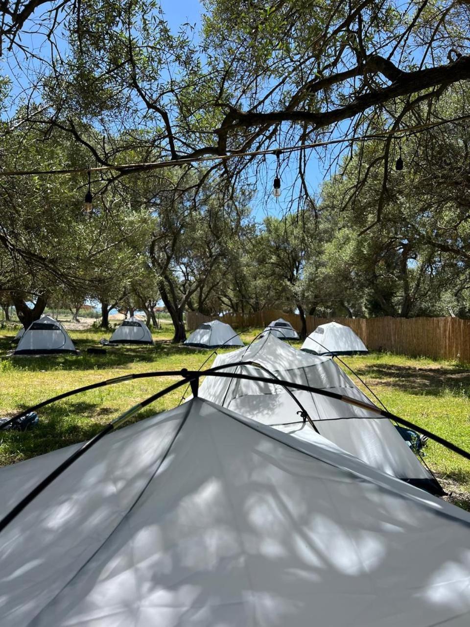 فندق Borsh Olive Camping المظهر الخارجي الصورة