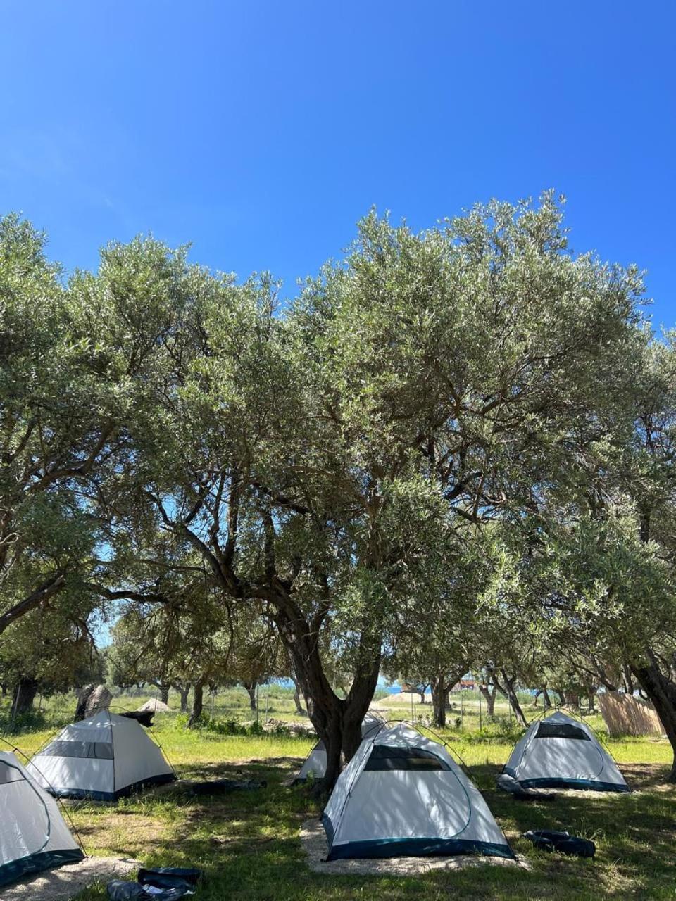 فندق Borsh Olive Camping المظهر الخارجي الصورة