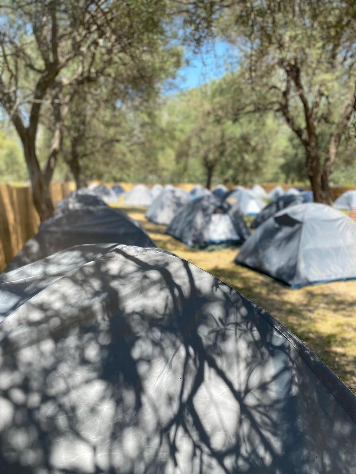 فندق Borsh Olive Camping المظهر الخارجي الصورة