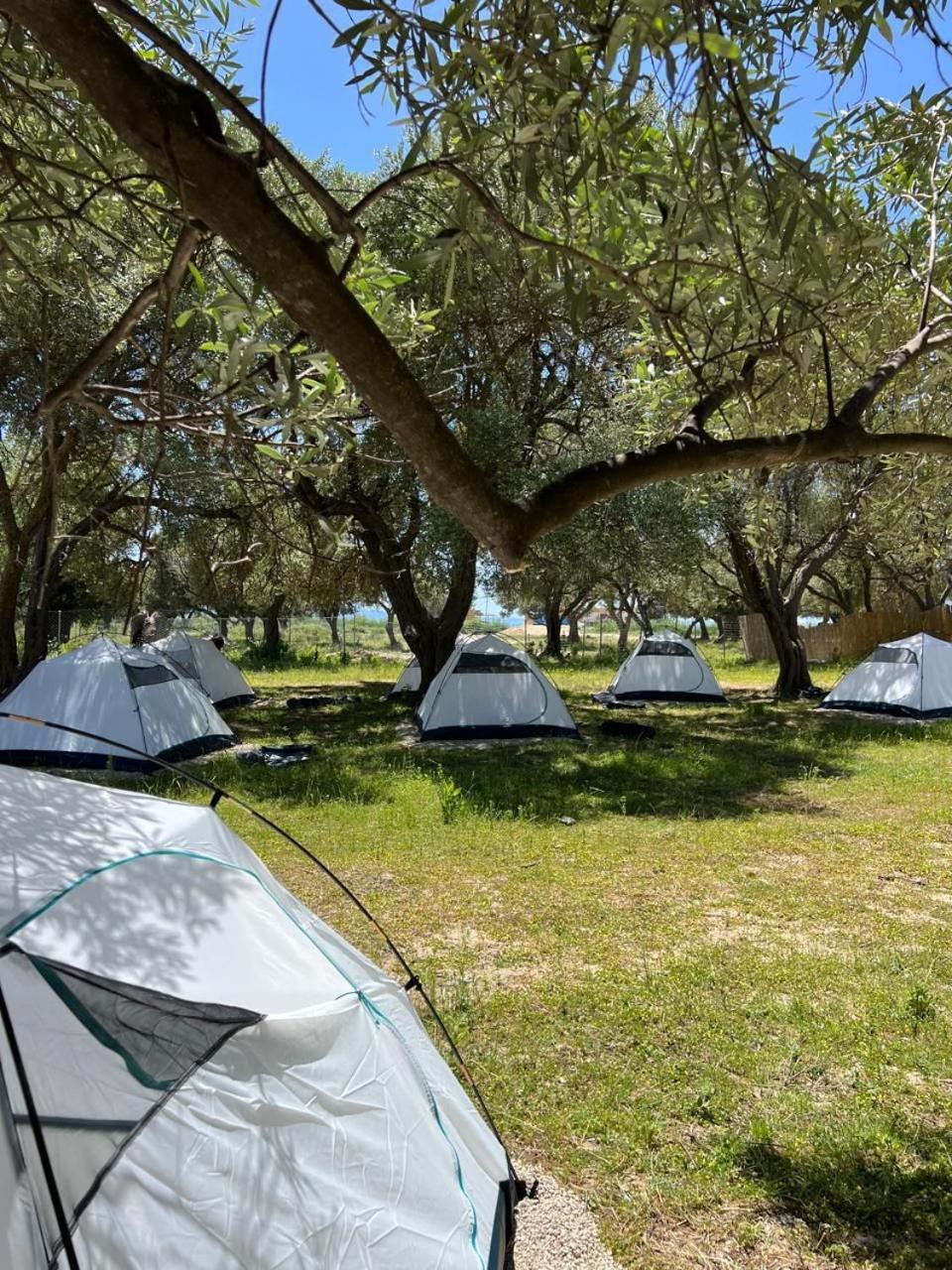 فندق Borsh Olive Camping المظهر الخارجي الصورة