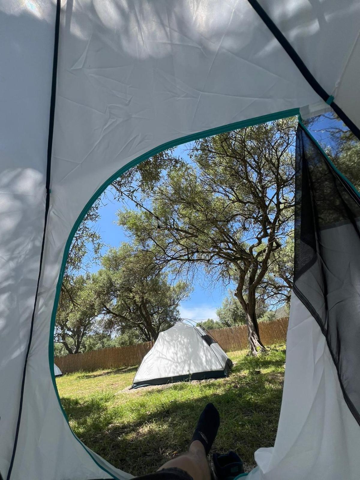 فندق Borsh Olive Camping المظهر الخارجي الصورة