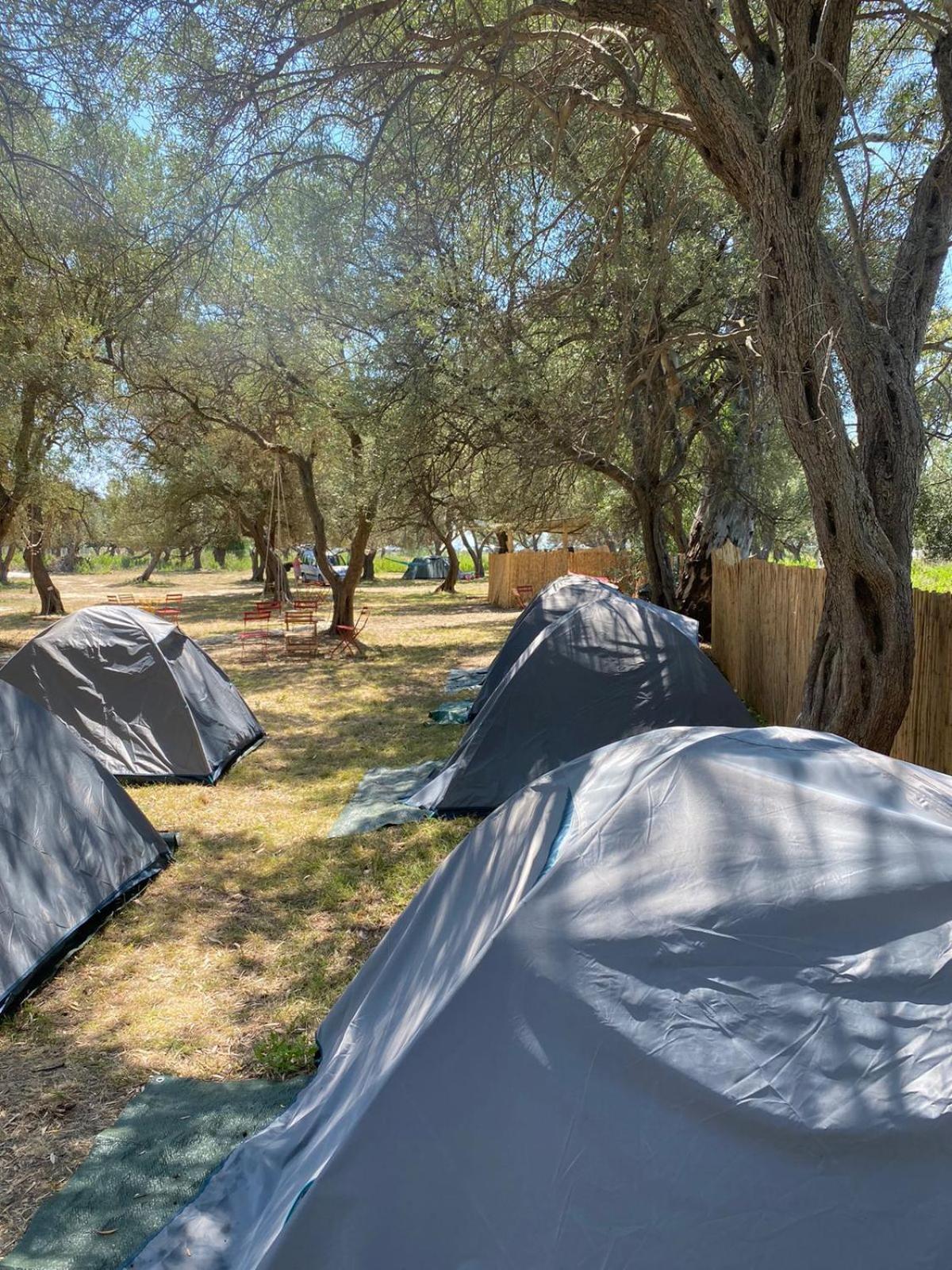 فندق Borsh Olive Camping المظهر الخارجي الصورة