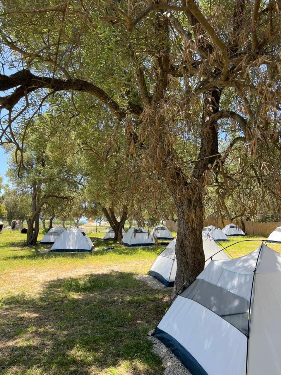 فندق Borsh Olive Camping المظهر الخارجي الصورة