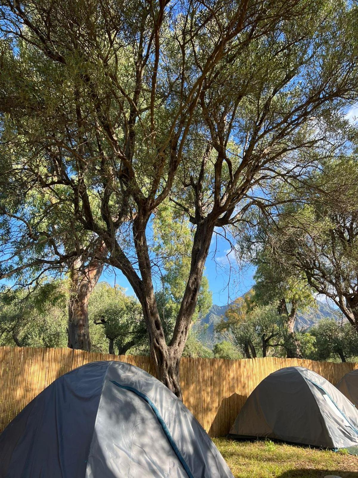 فندق Borsh Olive Camping المظهر الخارجي الصورة