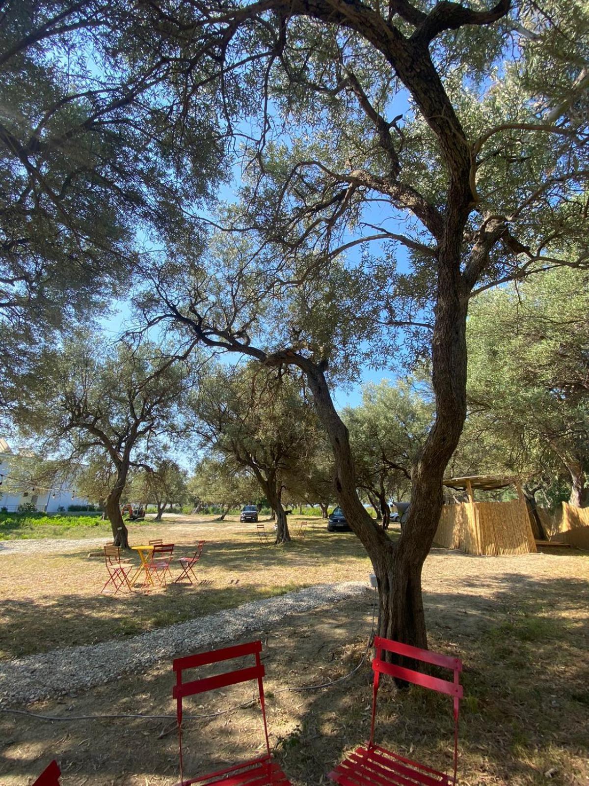 فندق Borsh Olive Camping المظهر الخارجي الصورة